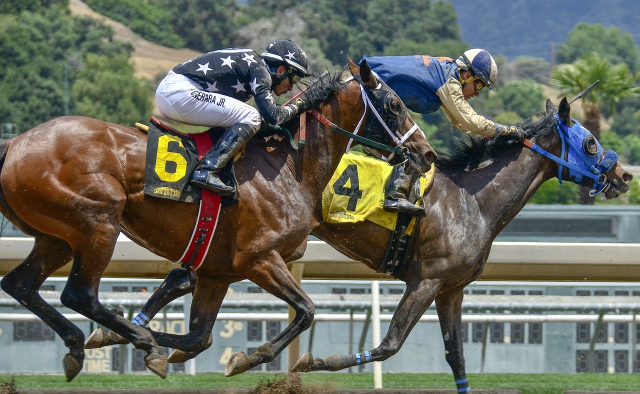 Sports Betting: Another Part of Gambling